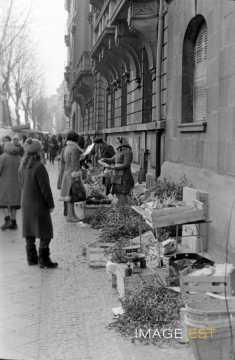 Marché avenue de Nancy (Metz)