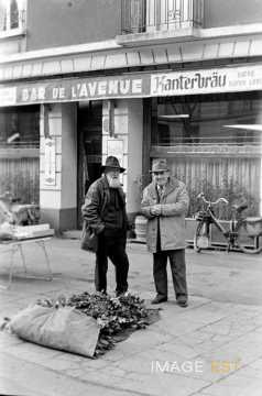 Marchand de houx (Metz)