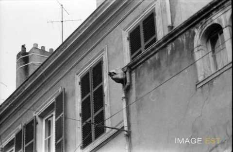 Tête de cochon (Metz)