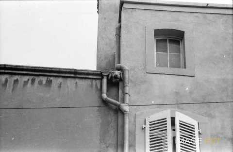 Tête de cochon (Metz)