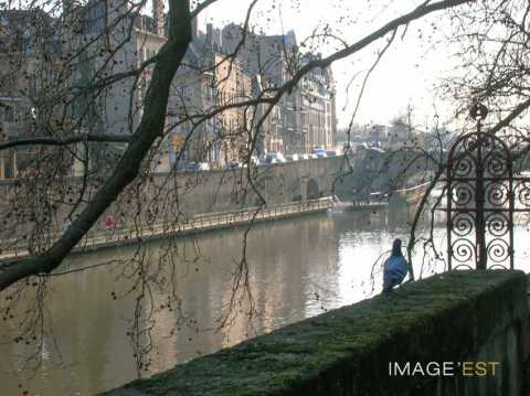 La Moselle (Metz)