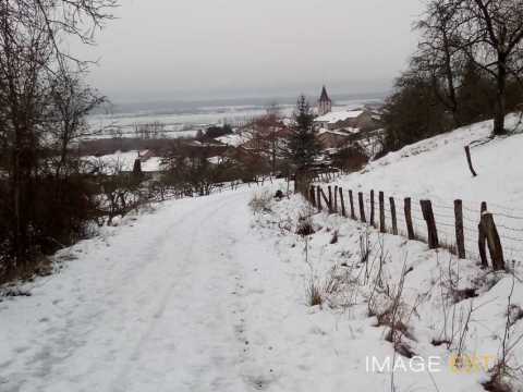 Mont-le-Vignoble (Meurthe-et-Moselle)