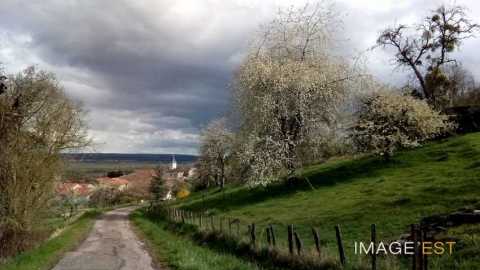 Mont-le-Vignoble (Meurthe-et-Moselle)