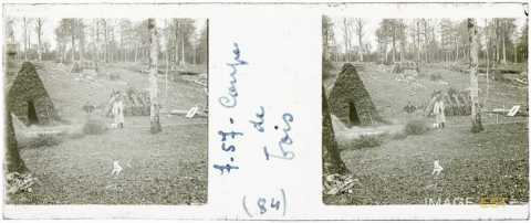 Une coupe de bois (Lorraine)