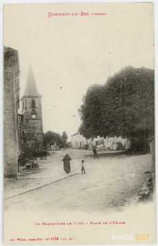 Marronnier de 1748 (Dombrot-le-Sec)