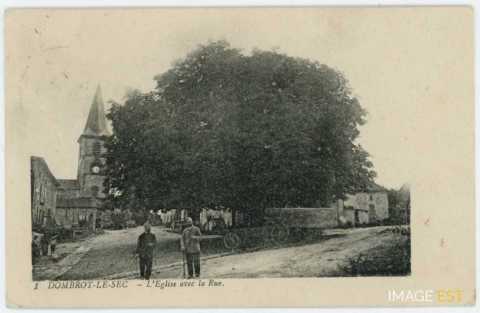 Marronnier de 1748 (Dombrot-le-Sec)