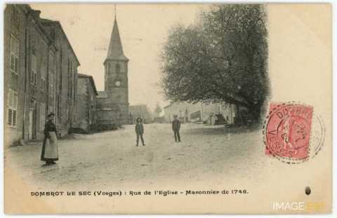 Marronnier de 1748 (Dombrot-le-Sec)