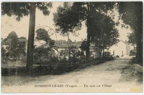 Route arborée (Dombrot-le-Sec)