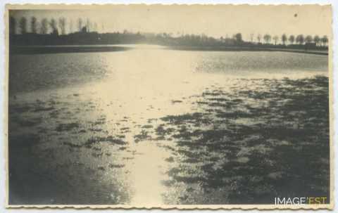Cours d'eau
