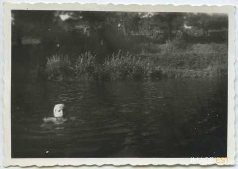 Baignade dans le canal (Bar-le-Duc)