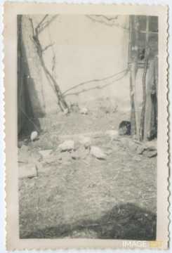 Poulaillier (Rembercourt-Sommaisne)