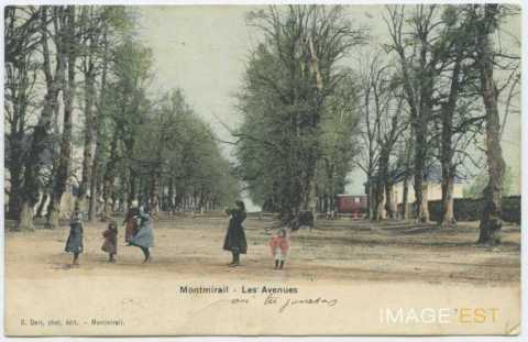 Les avenues (Montmirail)