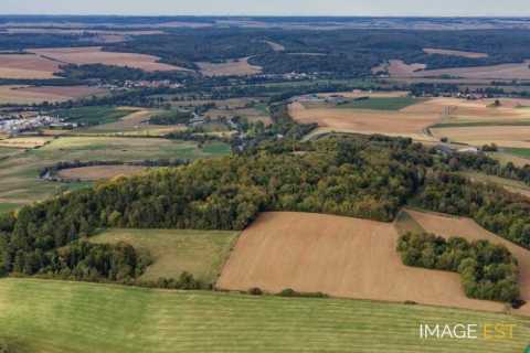 Camp des romains (Saint-Mihiel)