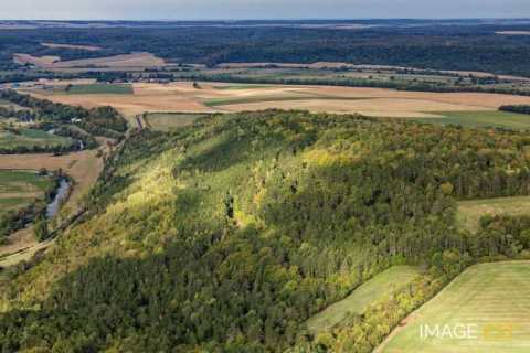 Camp des romains (Saint-Mihiel)