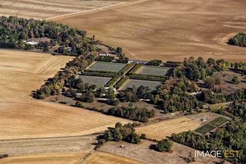 Cimetière américain (Thiaucourt-Regniéville)