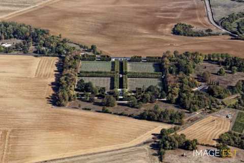 Cimetière américain (Thiaucourt-Regniéville)