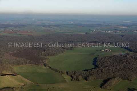 Bois Les Moines (Villers-lès-Mangiennes)