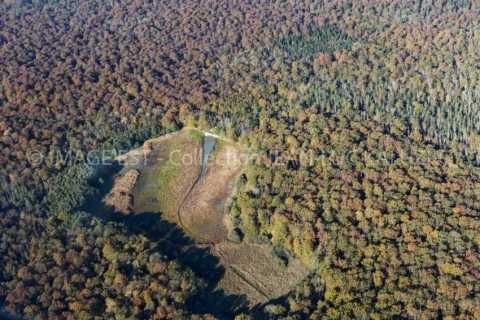Étang de la Putefin (Belval-en-Argonne)