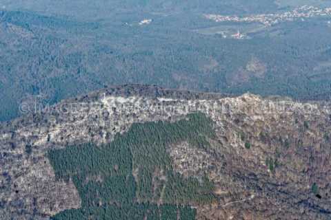 Hartmannsvillerkopf (Wattwiller)