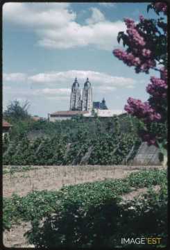 Basilique (Saint-Nicolas-de-Port)