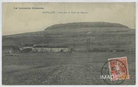 Bois d'Anon (Goviller)