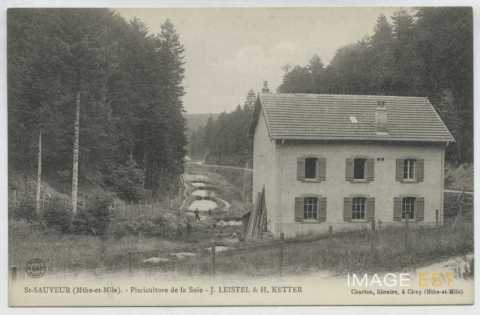 Pisciculture de la soie (Saint-Sauveur)