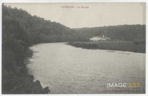 La Moselle (Liverdun)