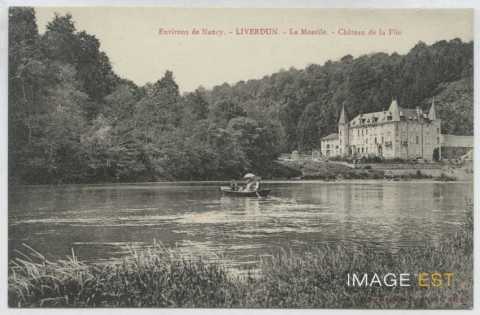 Liverdun (Meurthe-et-Moselle)