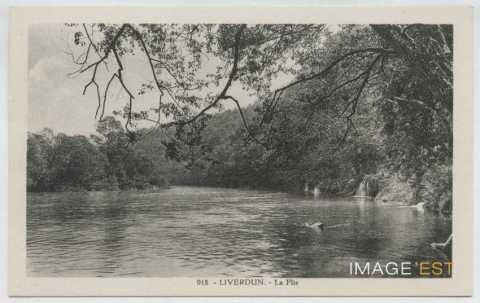 Liverdun (Meurthe-et-Moselle)