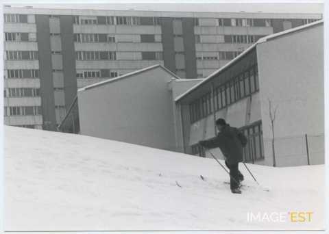 Skieur (Vandoeuvre-lès-Nancy)