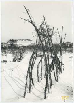 Jardin sous la neige (Vandoeuvre-lès-Nancy)