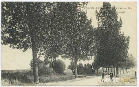 Route arborée (Forcelles-sous-Gugney)