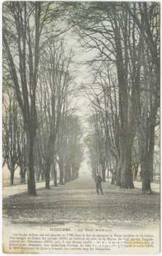 Le Bois d'Amour (Mézières)