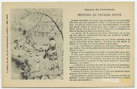 Contes de Fraimbois. Histoire du premier noyer