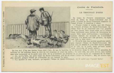 Contes de Fraimbois. Le troupeau d'oies