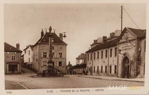 Fontaine de la Meurthe (Saint-Dié-des-Vosges)