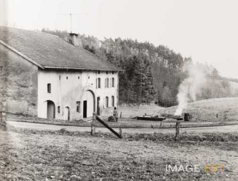 Une ferme (Nayemont-les-Fosses)