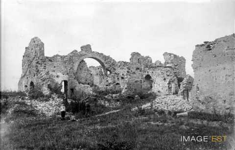 Ferme du Lomont en ruines (Vitrimont)