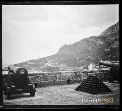 Canons du Palais royal (Monaco)