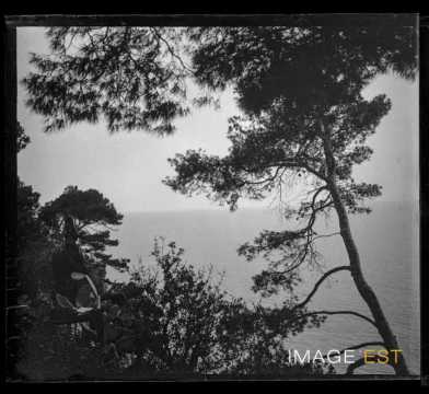 Paysage méditerranéen (Menton)