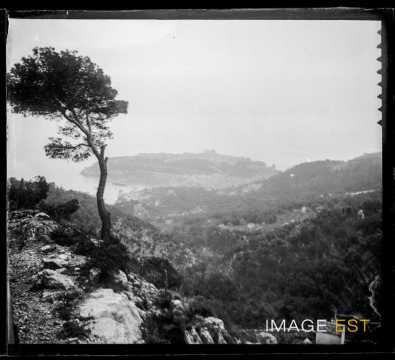Paysage méditerranéen (Monaco)