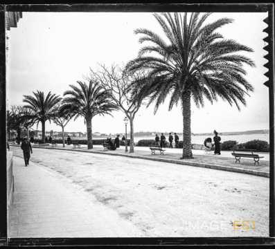 Promenade de la Croisette (Cannes)