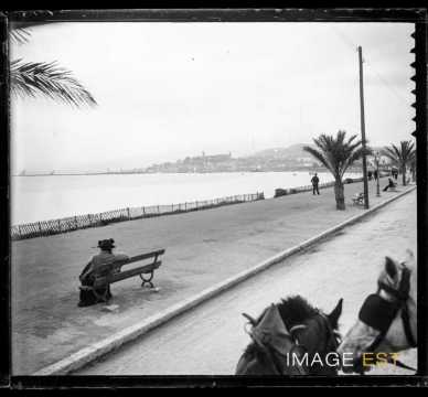 Promenade de la Croisette (Cannes)