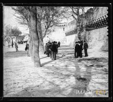 Partie de pétanque (Avignon)