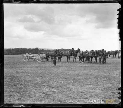 Pièce d'artillerie et son attelage (Malzéville)