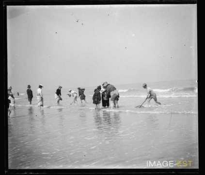 Pêche à la crevette (Trouville-sur-Mer)