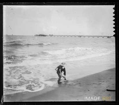 Pêche à la crevette (Trouville-sur-Mer)