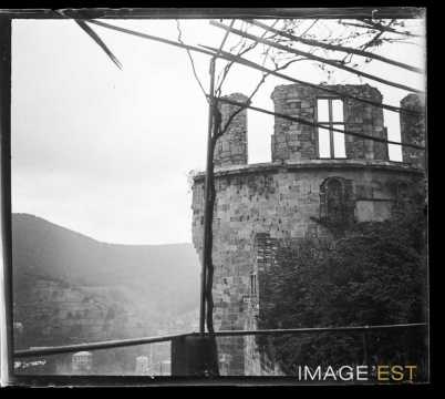 Tour du château (Heidelberg)