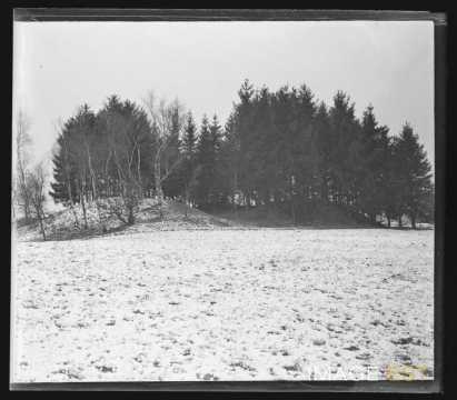 Paysage sous la neige (Gondreville ?)
