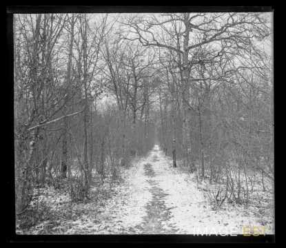 Chemin forestier (Gondreville ?)